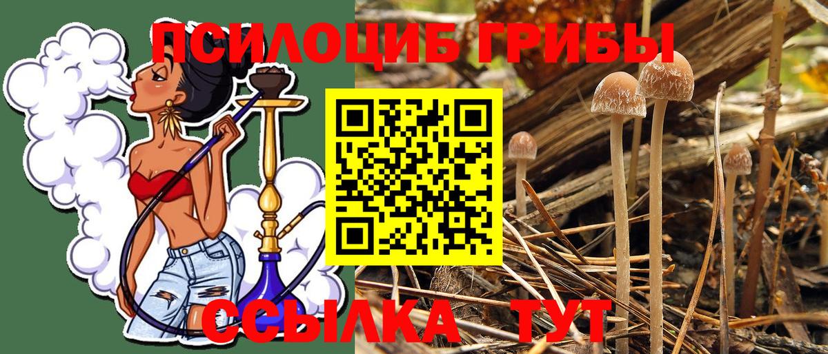 Галлюциногенные грибы MAGIC MUSHROOMS  Псилоцибиновые грибы Cubensis  Владивосток  Вход с VPN 